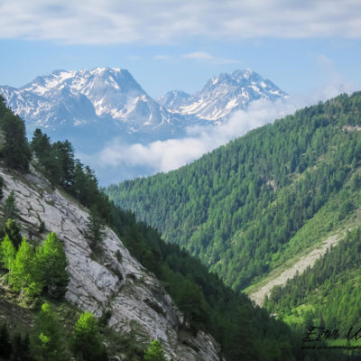 Paysage vallon de Polset