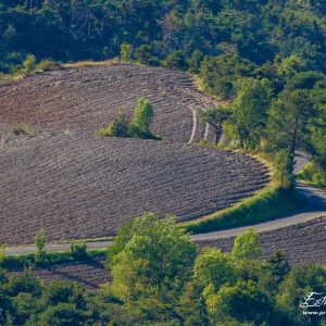 Paysage agricole