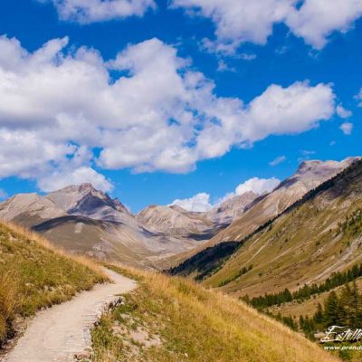 Paysage Vallon du Lauzanier