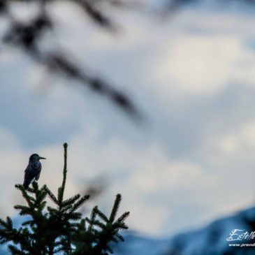 Fond d’Aussois