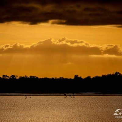 Lever de soleil sur l'étang des Impériaux