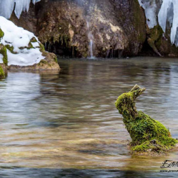 Cascades gelées dans le Jura