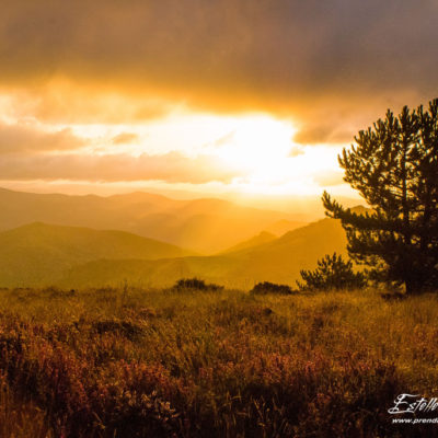 Paysage montagne