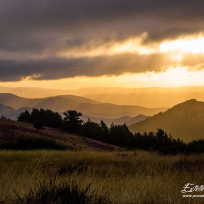 Paysage montagne