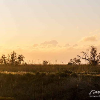 Paysage marais