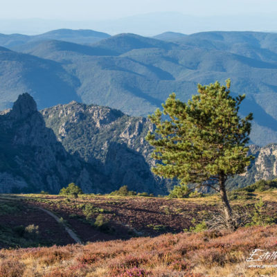 Paysage montagne