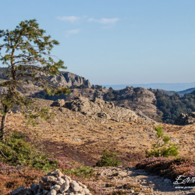 Paysage montagne