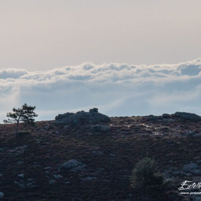 Paysage montagne